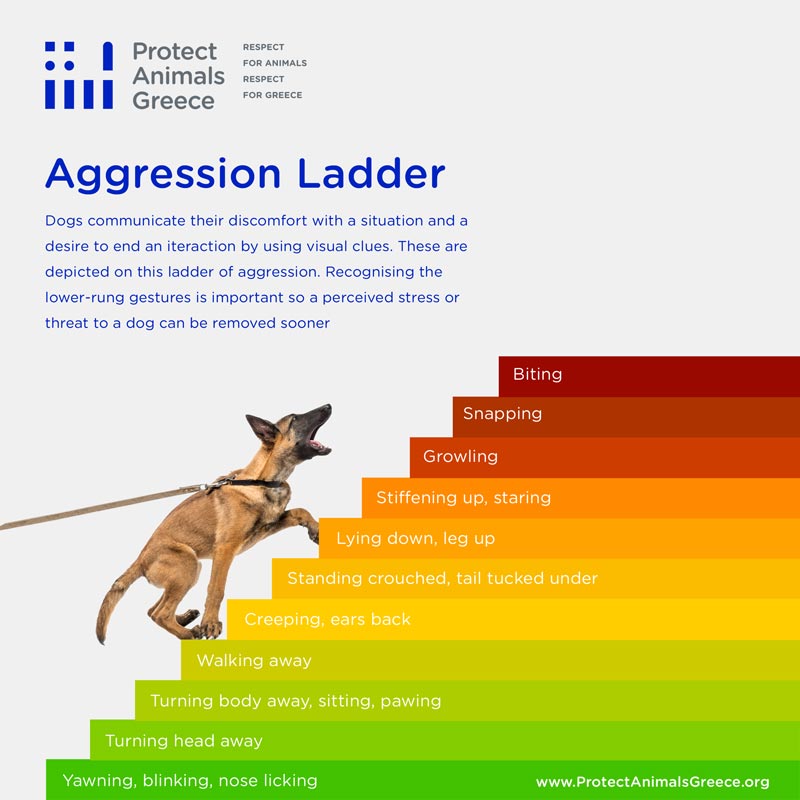 Aggression Ladder. Protect Animals Greece